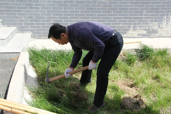 必赢师生到贺阳国际中小学参加劳动