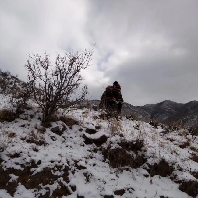 梅花香自苦寒来---必赢杜鹃同学网课学习纪实