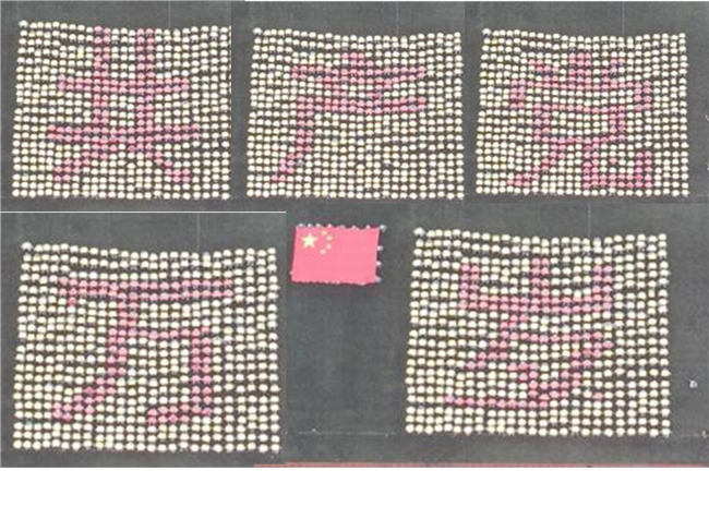 青春无悔  逐梦启航必赢举行2021级新生军训结营式暨开学典礼