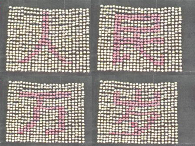 青春无悔  逐梦启航必赢举行2021级新生军训结营式暨开学典礼