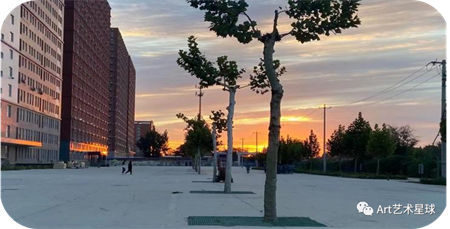 必赢242net官网//艺术学院//青春榜样（五）