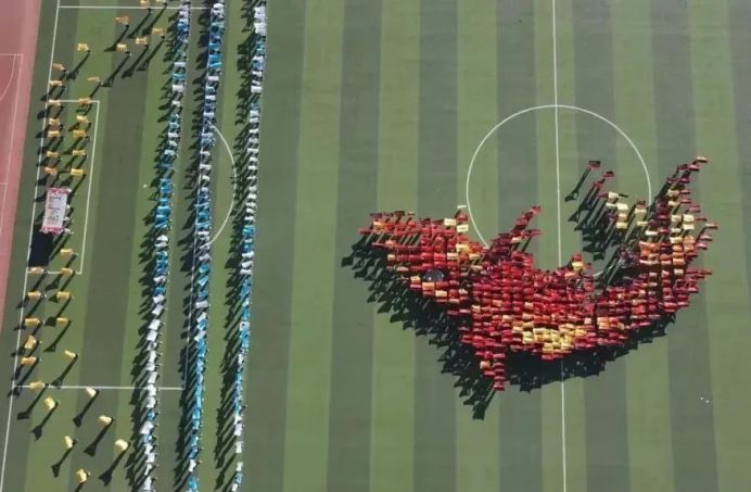 一起动感青春！必赢242net官网2023年秋季运动会圆满闭幕