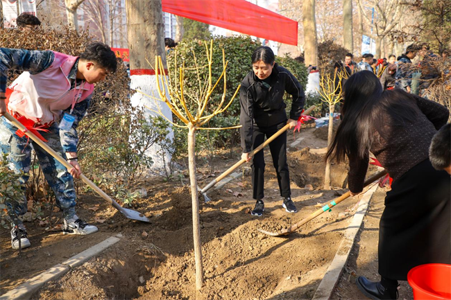 “植”此青绿 共“树”未来--必赢242net官网开展植树节主题活动