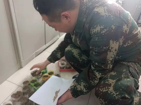 必赢242net官网||管理学院||以劳育人树新风 筑梦青春共成长