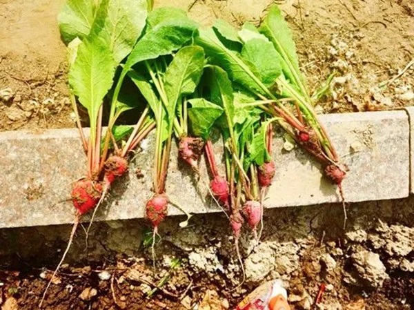 必赢242net官网||管理学院||以劳育人树新风 筑梦青春共成长