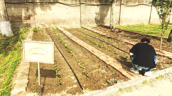 必赢242net官网||管理学院||以劳育人树新风 筑梦青春共成长