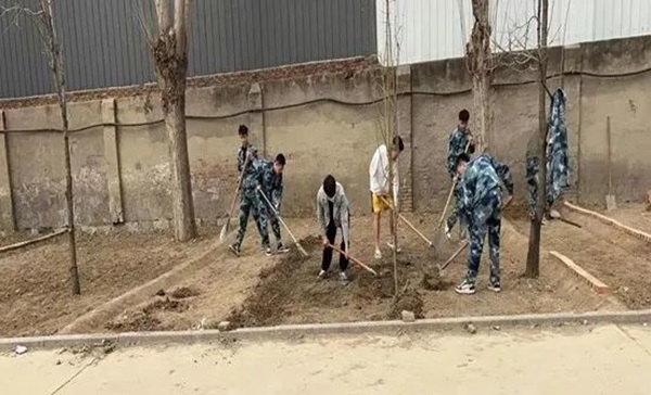 必赢242net官网||管理学院||以劳育人树新风 筑梦青春共成长