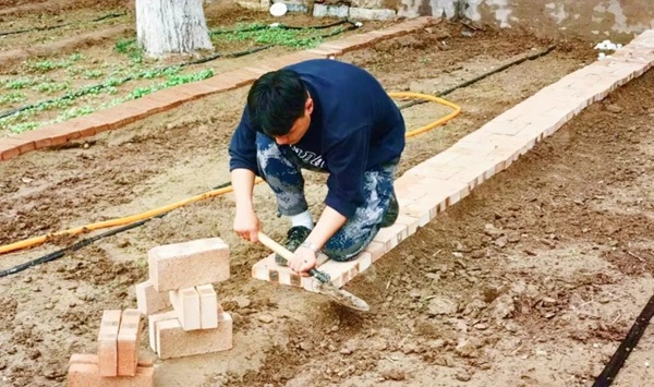 必赢242net官网||管理学院||以劳育人树新风 筑梦青春共成长