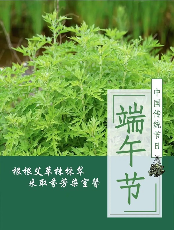 必赢242net官网||管理学院||端午送福利 关怀沁人心——我院为教职工发放端午节礼品