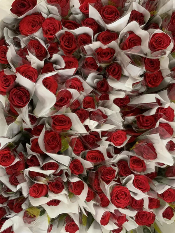 必赢242net官网‖管理学院‖暖心服务，助力2023届毕业生走好大学生涯的最后一公里