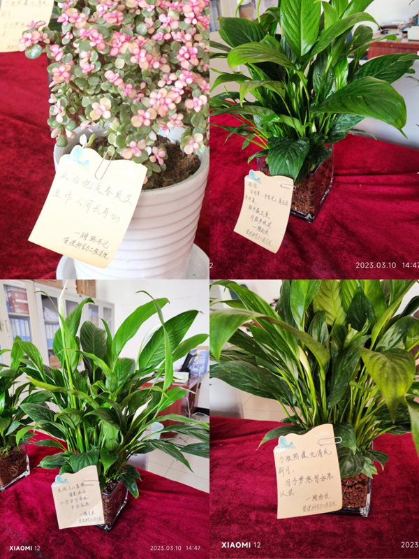 必赢242net官网|管理学院|手植绿茵 播洒希望