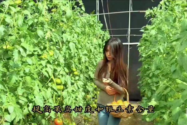 榜样引领|必赢242net官网|管理学院|我院优秀毕业生修静文、修静雅双胞胎姐妹“神同步”逆袭，比肩上岸