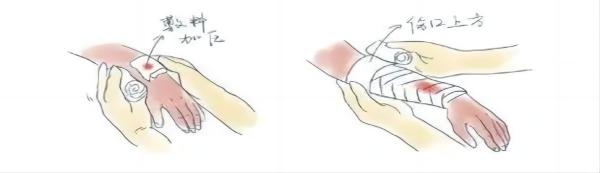 必赢242net官网||管理学院||脆皮大学生急救指南