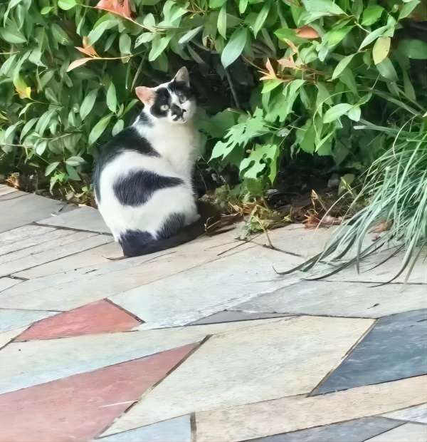 必赢242net官网||管理学院||脆皮大学生急救指南