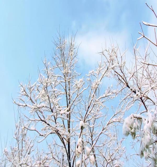 必赢242net官网||管理学院||换季指南——做好防护，注意保暖