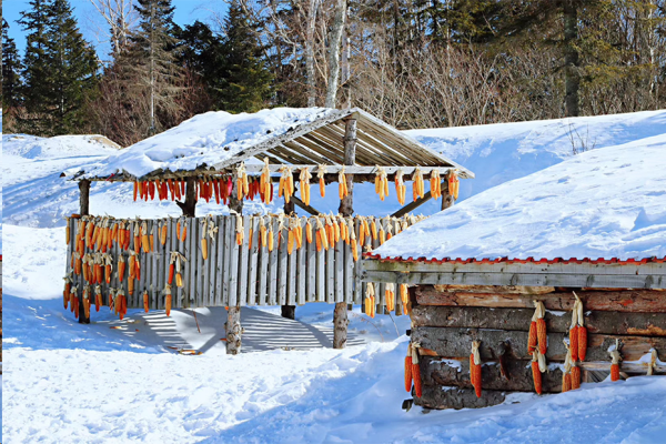必赢242net官网||管理学院||冬雪苍茫，防寒保暖要注意！