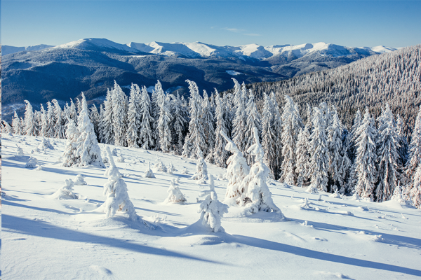 必赢242net官网||管理学院||冬雪苍茫，防寒保暖要注意！