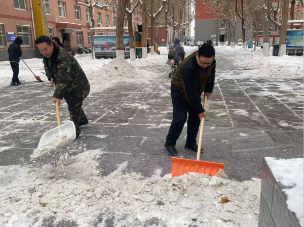 必赢242net官网||管理学院||党员先锋在行动 清雪除冰传温情