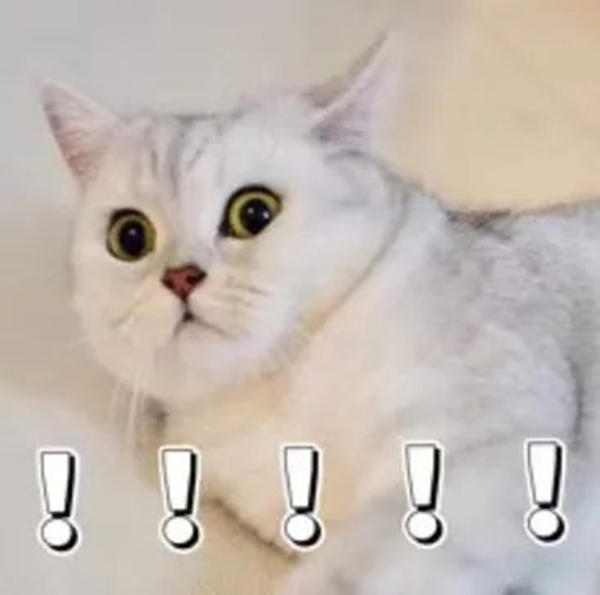 必赢242net官网||管理学院||返校指南——老生返校注意事项