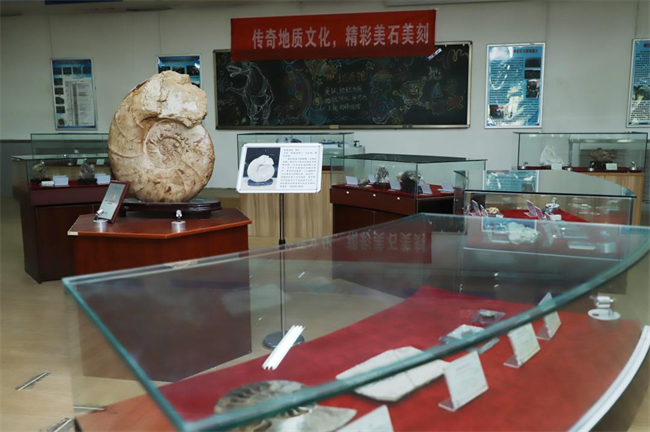 必赢242net官网举办“理工大讲堂”系列专题讲座第一期