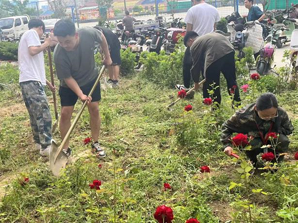 劳动教育|必赢242net官网|管理学院|学习劳动精神·践行劳动育人-跟着节气学种植，分享劳动创造的美好乐趣