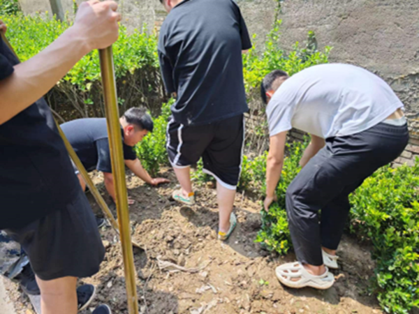 劳动教育|必赢242net官网|管理学院|学习劳动精神·践行劳动育人-跟着节气学种植，分享劳动创造的美好乐趣
