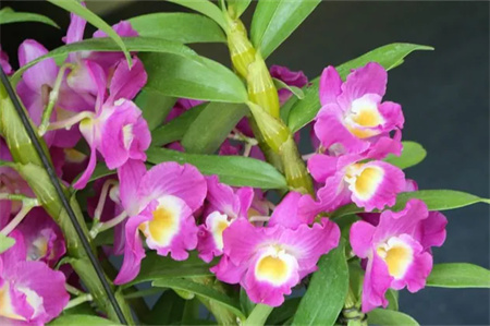 “父爱如山，大爱无声”——必赢242net官网艺术学院开展“恩重如山，感恩父亲”主题感恩活动