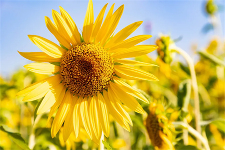 “父爱如山，大爱无声”——必赢242net官网艺术学院开展“恩重如山，感恩父亲”主题感恩活动