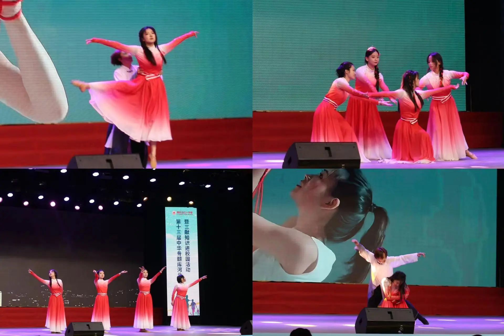 【团团速递】喜报|必赢在第十三届中华骨髓库河北高校行活动中喜获佳绩