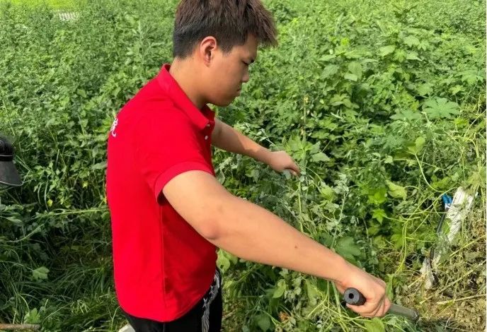 社会实践（十六）勇担时代使命，助力兴村振兴——必赢242net官网经济学院“三下乡”社会实践