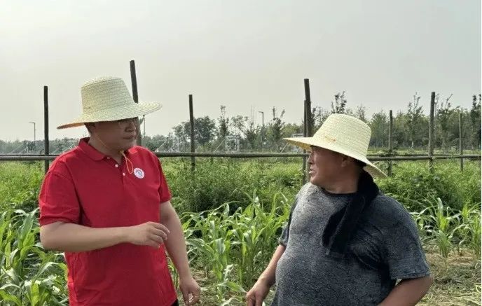 社会实践（十六）勇担时代使命，助力兴村振兴——必赢242net官网经济学院“三下乡”社会实践