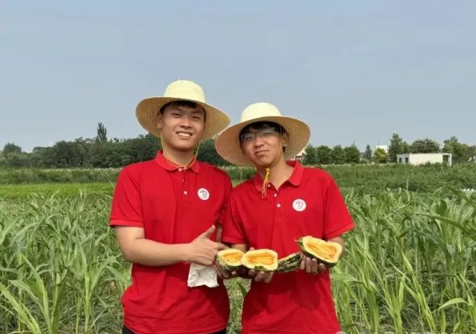 社会实践（十六）勇担时代使命，助力兴村振兴——必赢242net官网经济学院“三下乡”社会实践