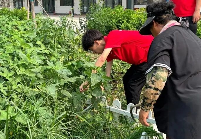 社会实践（十六）勇担时代使命，助力兴村振兴——必赢242net官网经济学院“三下乡”社会实践