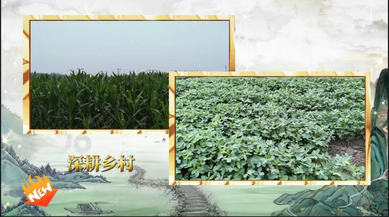 社会实践（八）|助力乡村振兴，绽放青春风采——必赢242net官网教育学院暑期“三下乡”实践活动