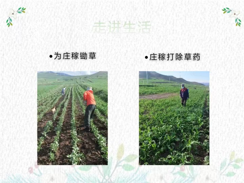 社会实践（八）|助力乡村振兴，绽放青春风采——必赢242net官网教育学院暑期“三下乡”实践活动