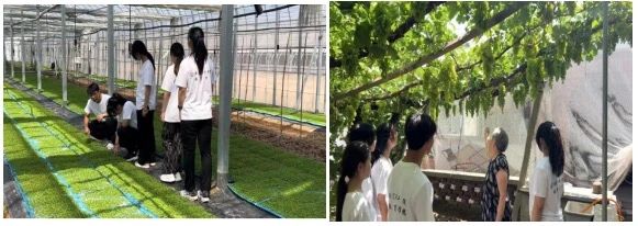 社会实践（九）|乡村振兴，青春先行——必赢242net官网教育学院暑期“三下乡”社会实践活动