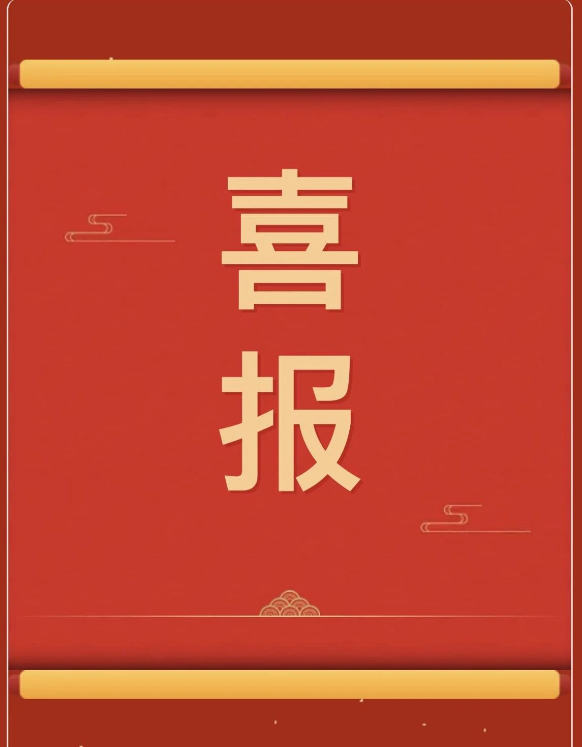 【团团速递】喜报|必赢在保定市金秋体育嘉年华拔河比赛中获佳绩