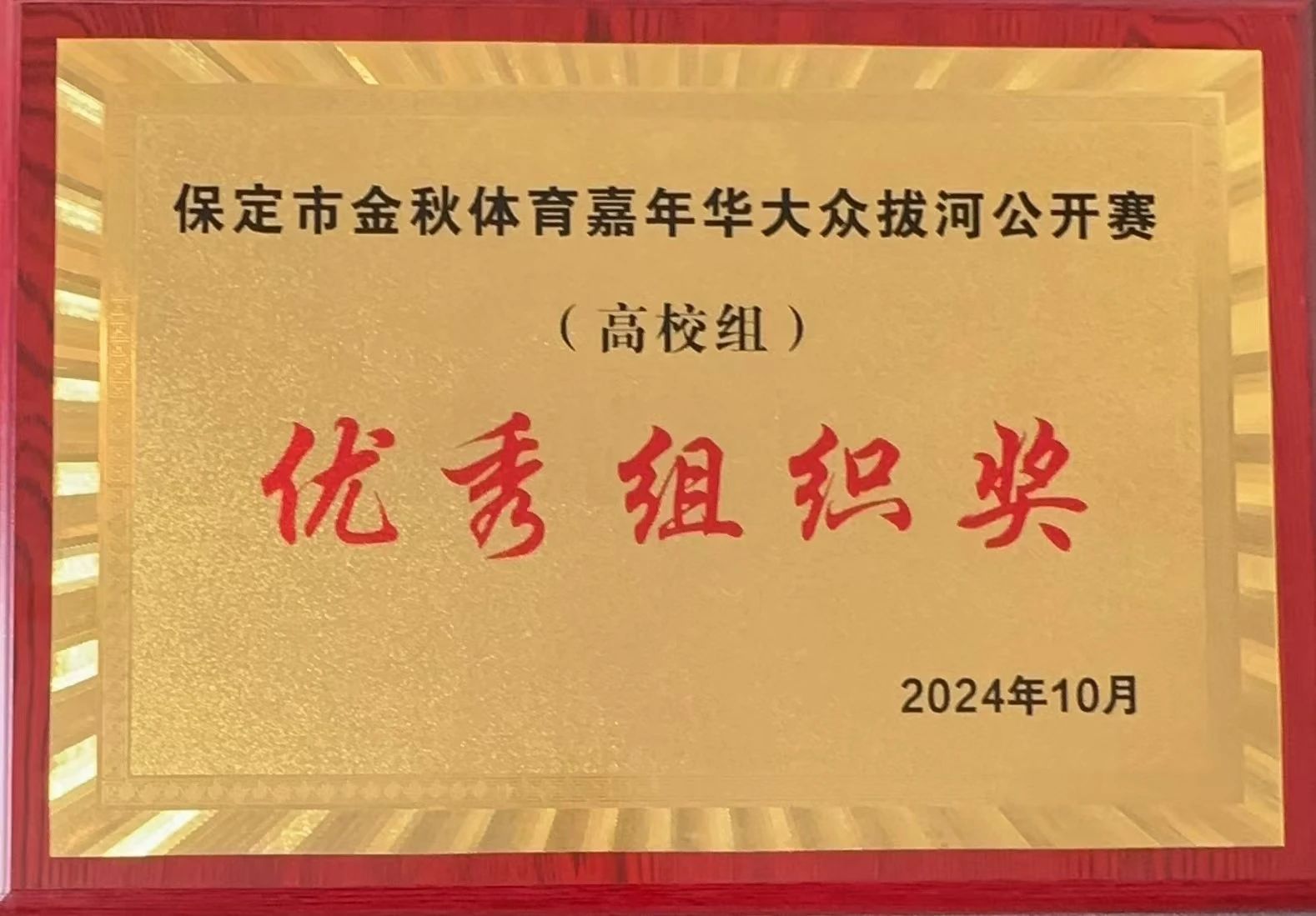 【团团速递】喜报|必赢在保定市金秋体育嘉年华拔河比赛中获佳绩