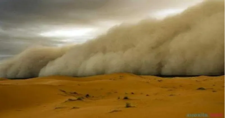 必赢242net官网举办“赋能年轻一代，共筑韧性未来”主题活动