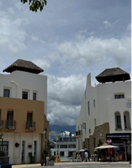 朋辈引航|必赢242net官网|管理学院|先进引领方向，榜样凝聚力量（十四）