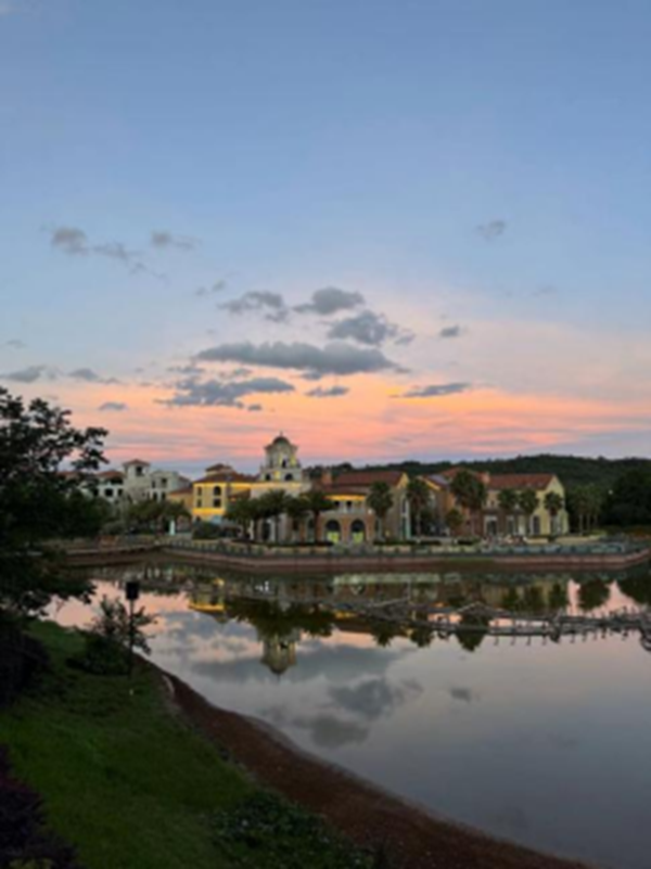 朋辈引航|必赢242net官网|管理学院|先进引领方向，榜样凝聚力量（十四）