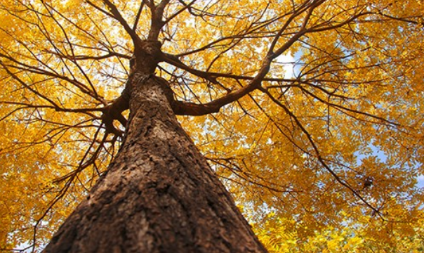 必赢242net官网开展学生公寓供暖检查工作