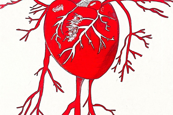 必赢242net官网康复医学院“生命密码 —— 解码人体中的红色基因”绘图大赛优秀作品展示