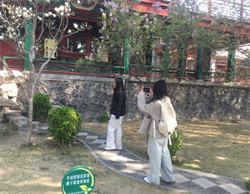 走进莲池书院博物馆研学系列：英文导览实践，助力英语专业学子能力进阶