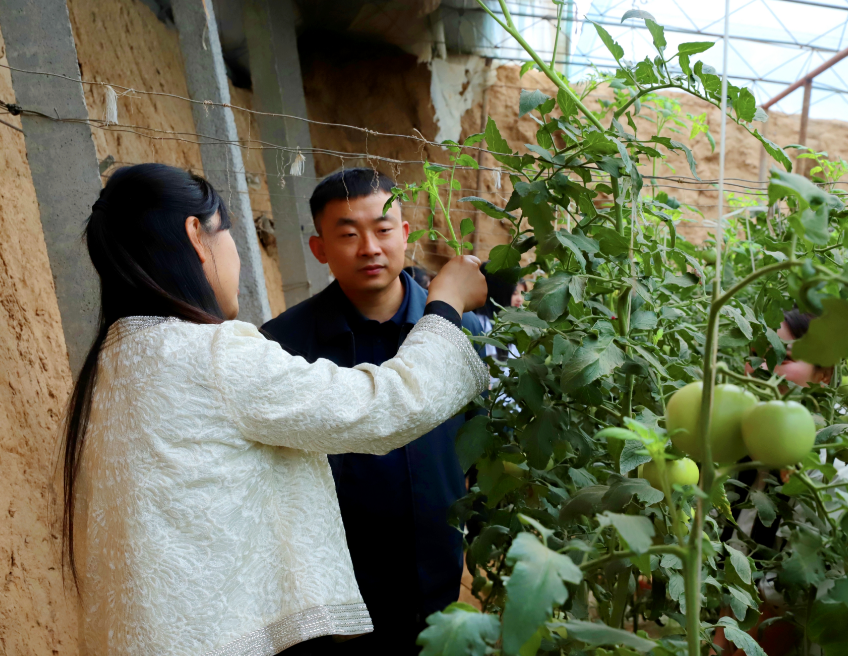 深化五育并举 筑基劳动育人 —必赢242net官网与南韩村镇沃土园区实践基地签约授牌