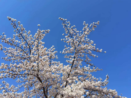 光影交织 逐梦影像 基础摄影综合实验项目顺利开展