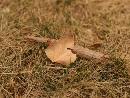 光影交织 逐梦影像 基础摄影综合实验项目顺利开展