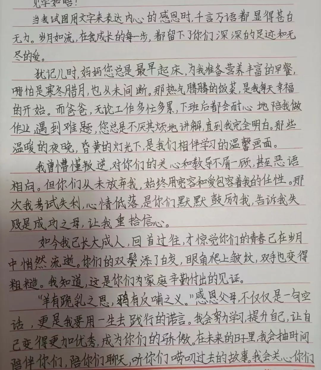 寸草春晖，情暖桑榆（二）