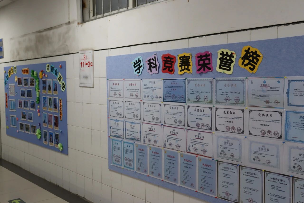 知识殿堂启智慧，文化长墙育德才