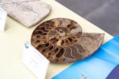 守护资源安全 智启科学未来